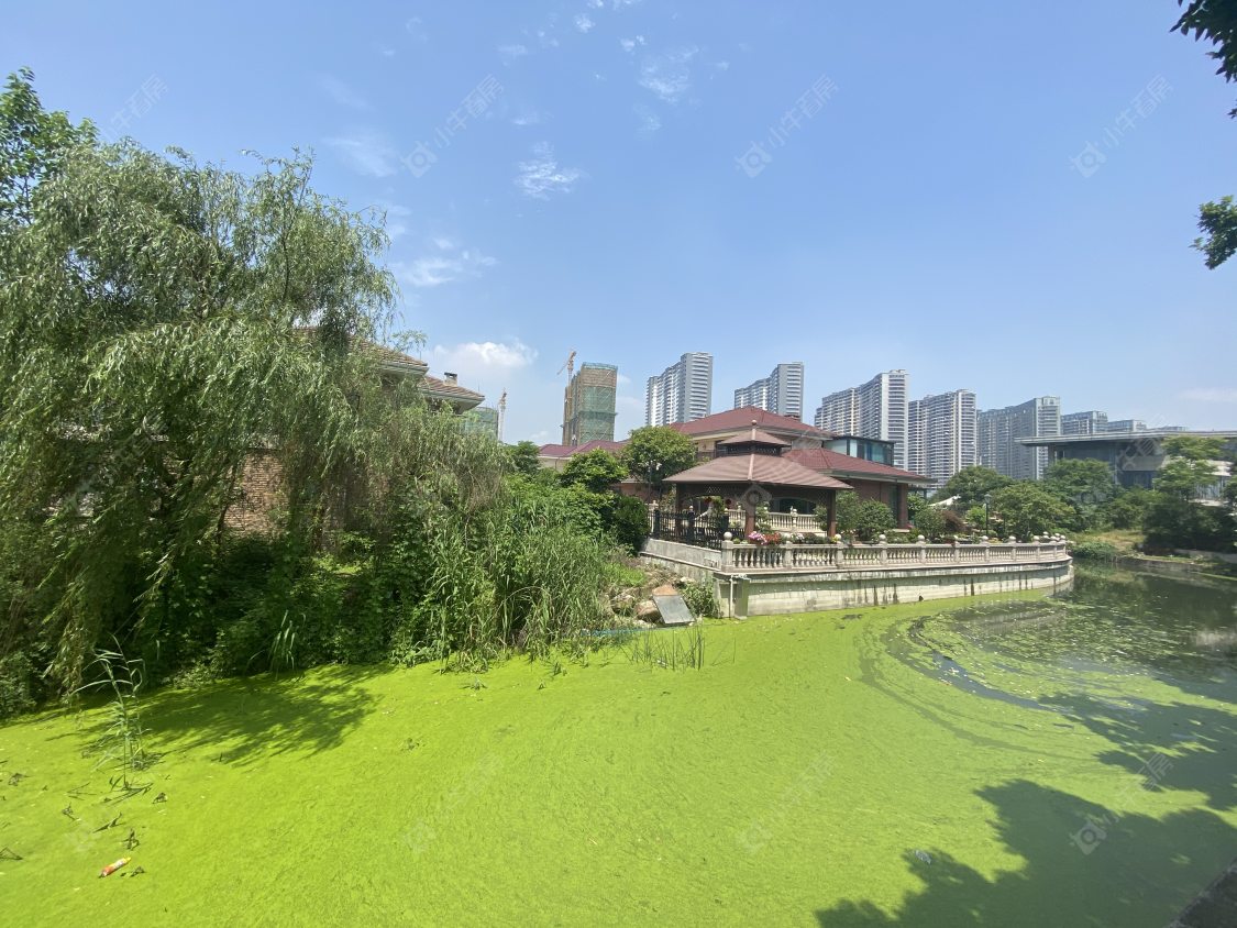 苏州湖畔现代城1区小区_湖畔现代城1区小区null