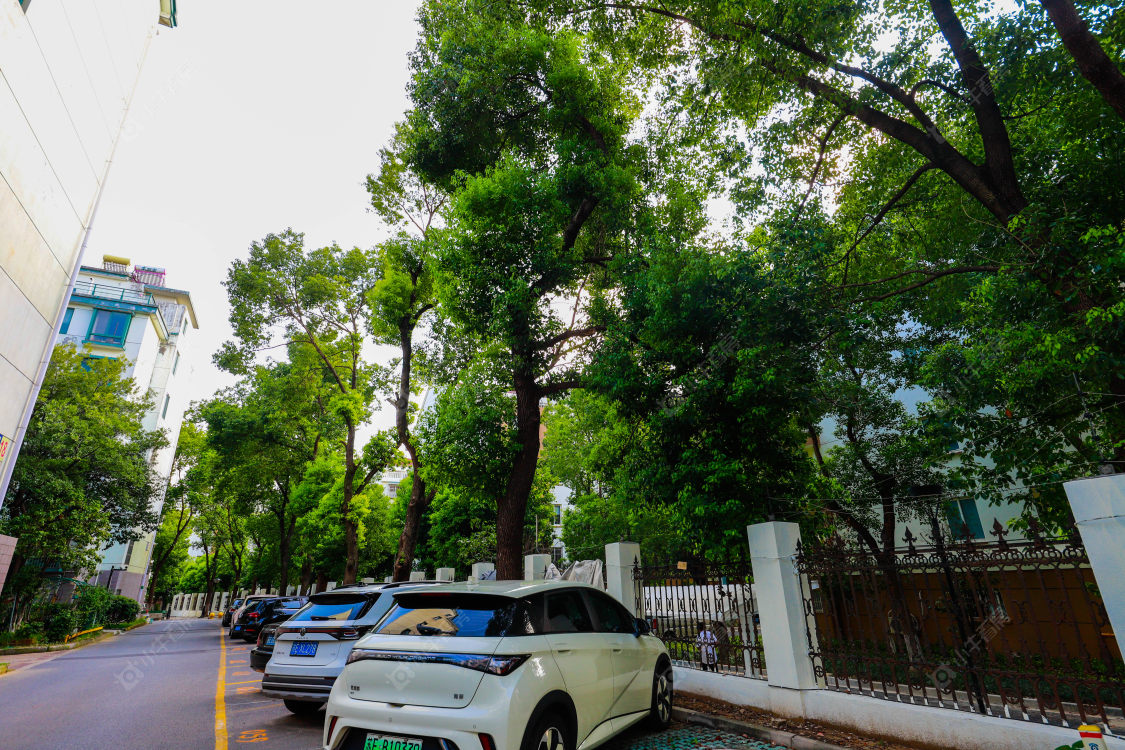 苏州南城花园小区_南城花园小区null