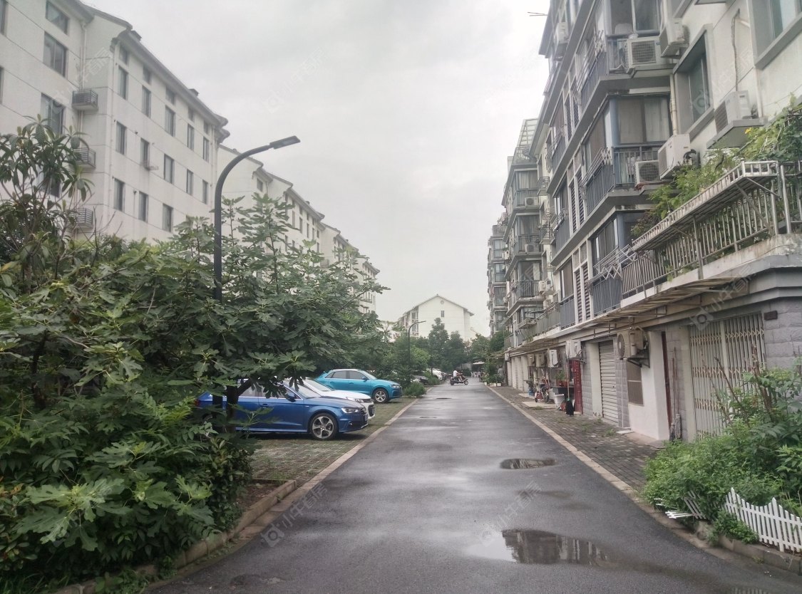 苏州枫泾新村四区小区_枫泾新村四区小区null