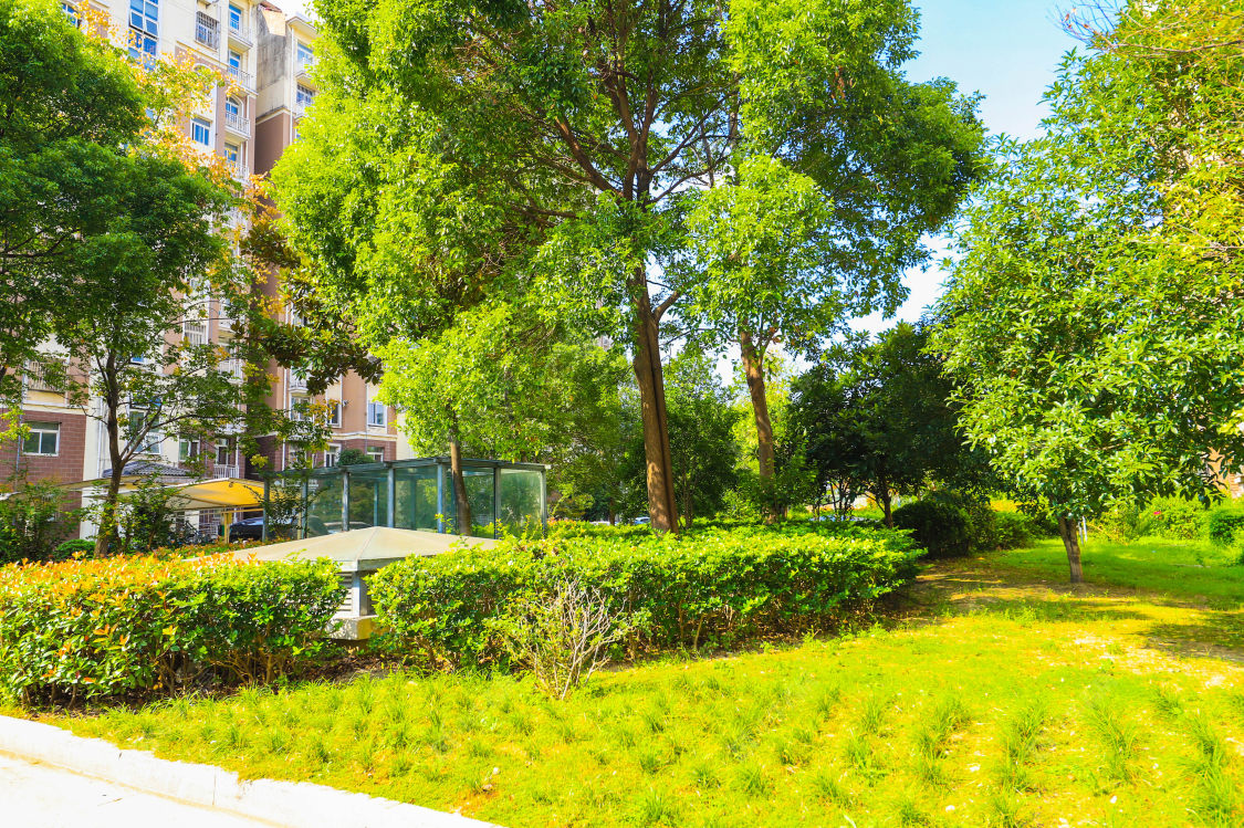 苏州悦华苑小区_悦华苑小区实景图