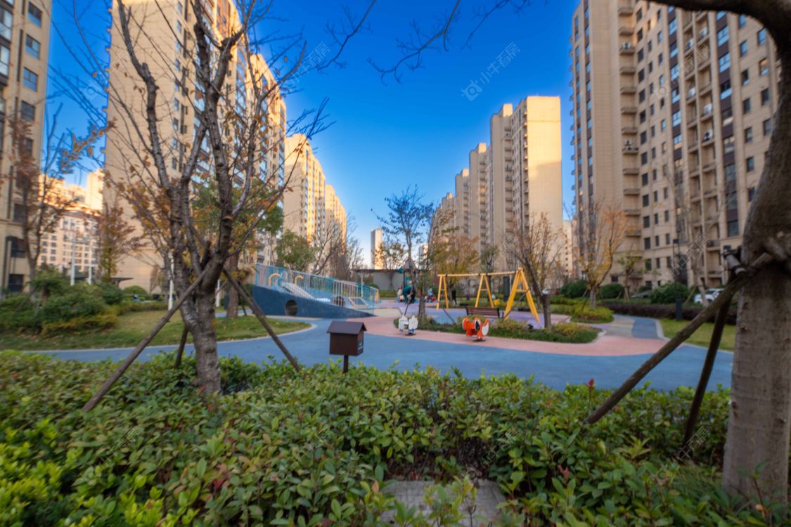 苏州金厦阳光经典花园小区_金厦阳光经典花园小区实景图