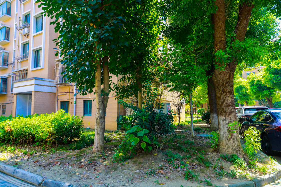 苏州西庄花苑小区_西庄花苑小区实景图