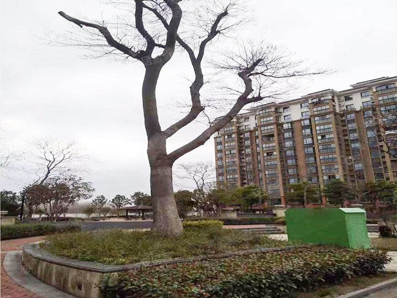 苏州聚福佳苑小区_聚福佳苑小区null