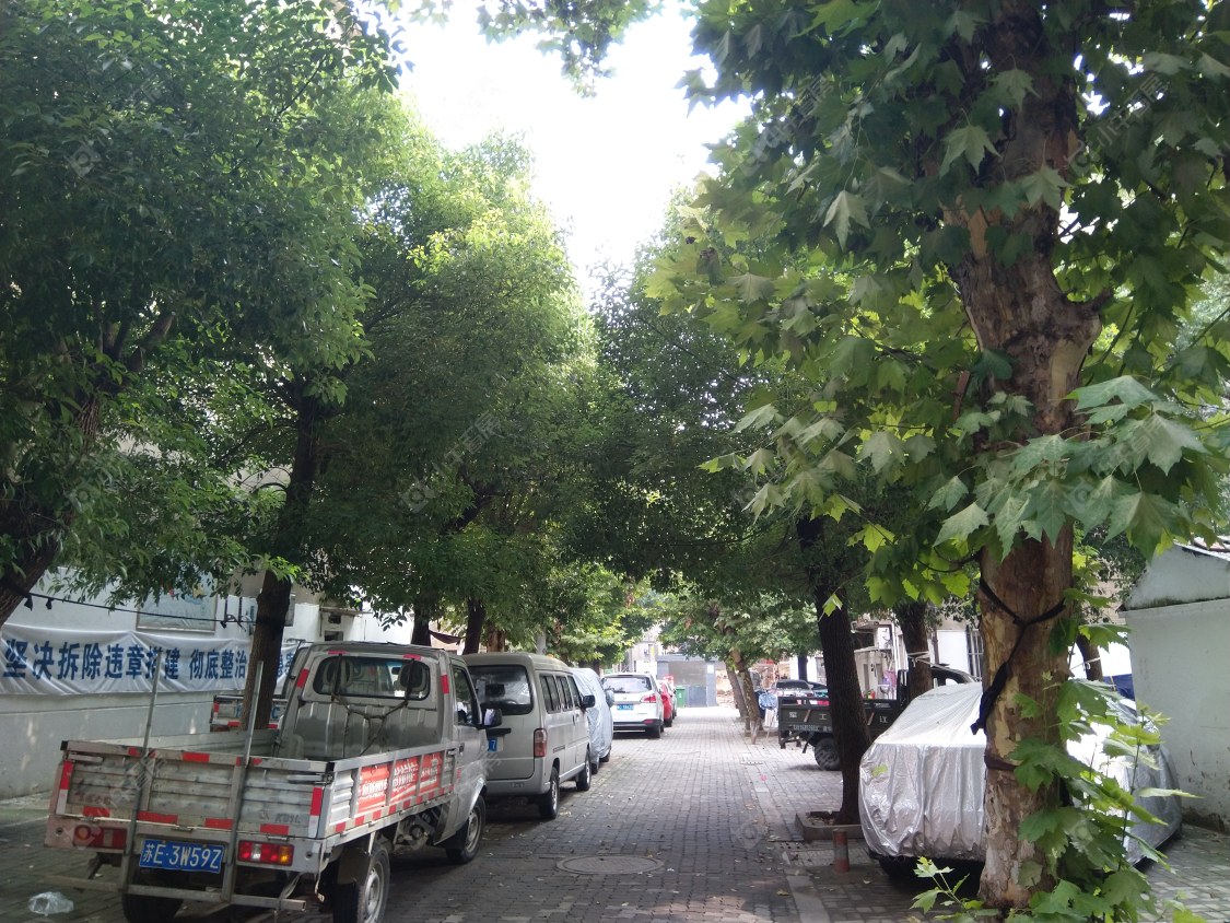 苏州湖泾新村小区_湖泾新村小区null