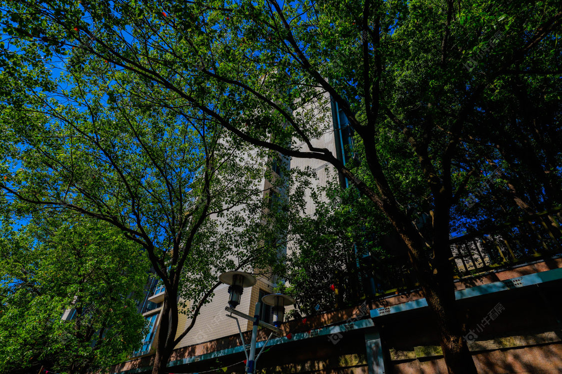 苏州城市风景小区_城市风景小区null