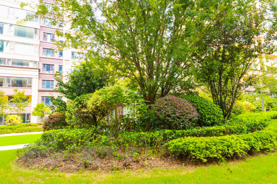 苏州锦润华庭小区_锦润华庭小区实景图