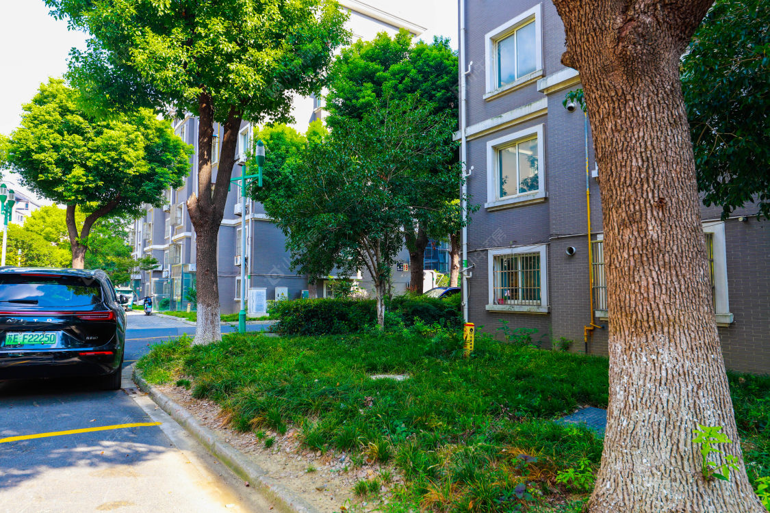 苏州小城市新村小区_小城市新村小区实景图