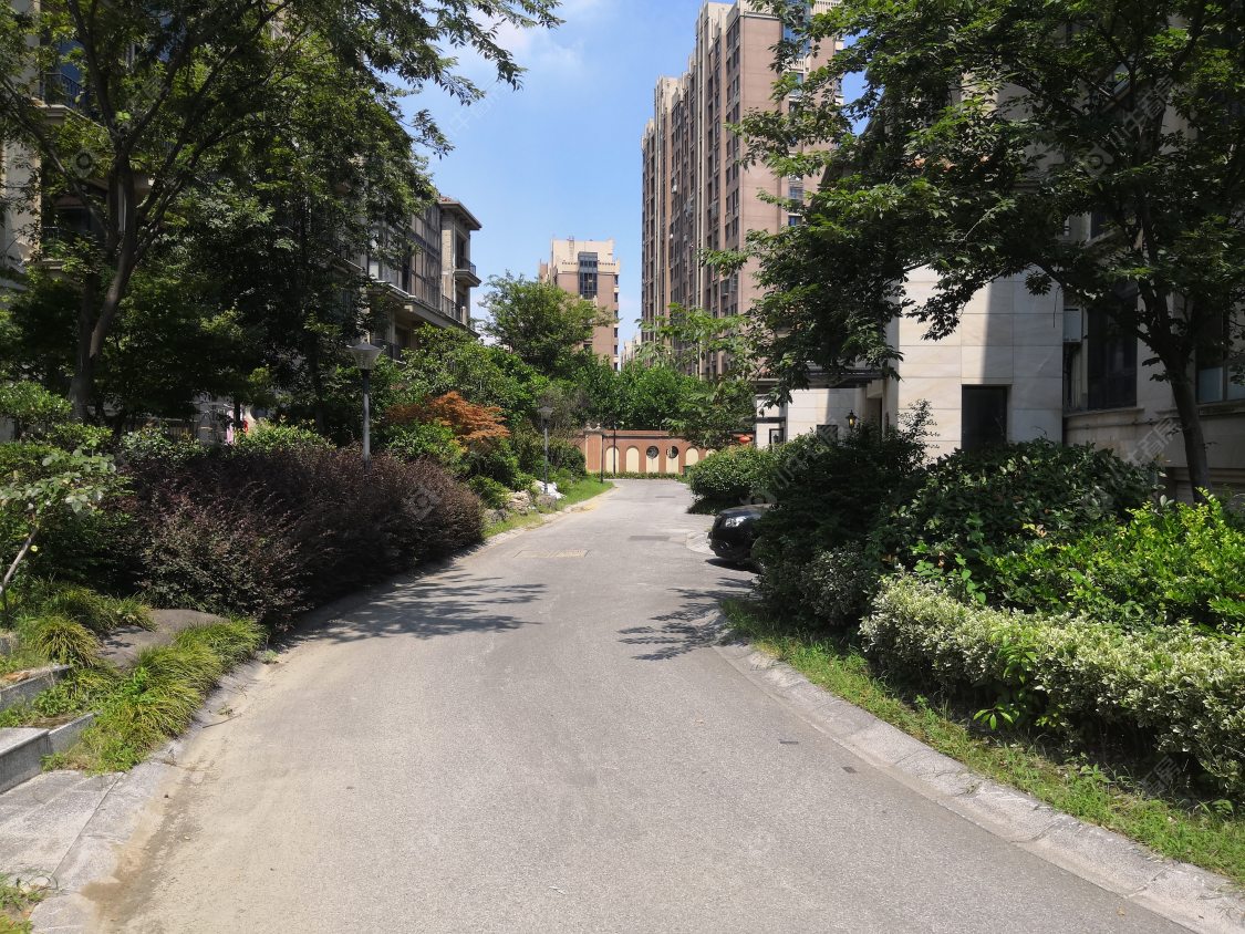 苏州金茂·四季花园小区_金茂·四季花园小区null