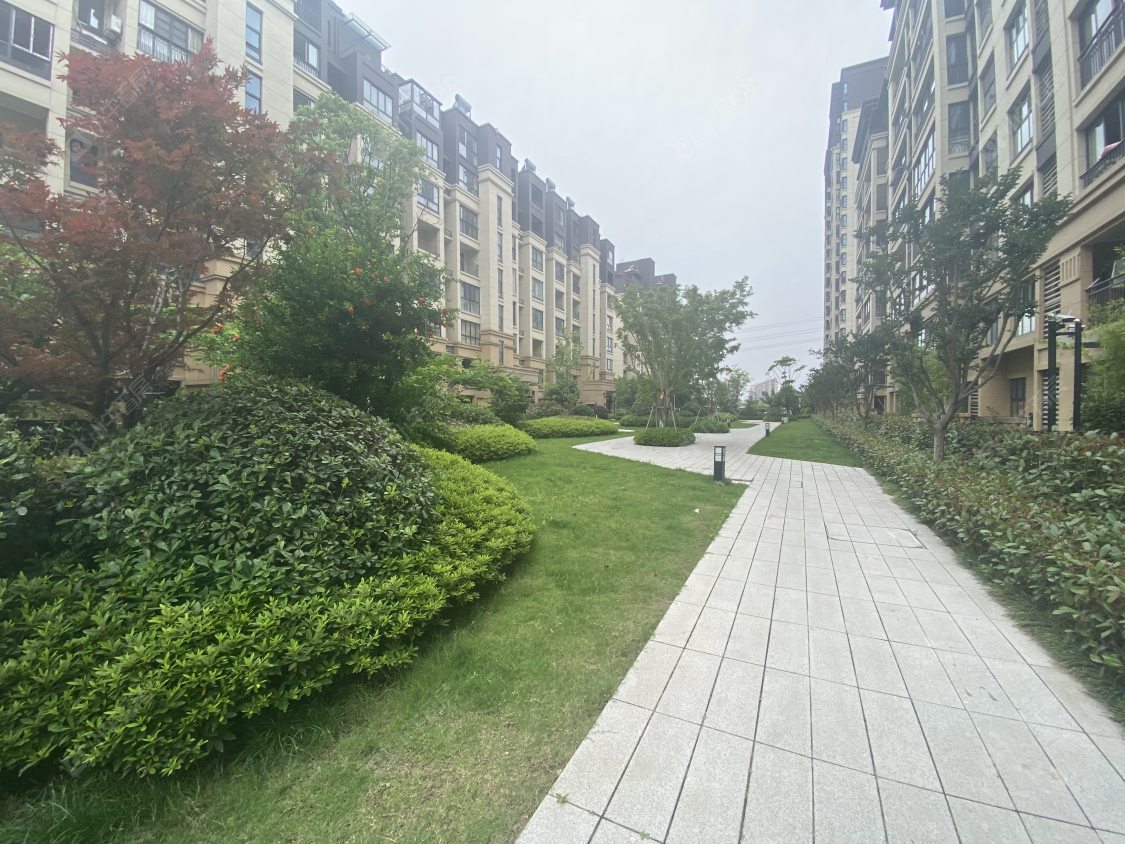 苏州金科集美院小区_金科集美院小区null