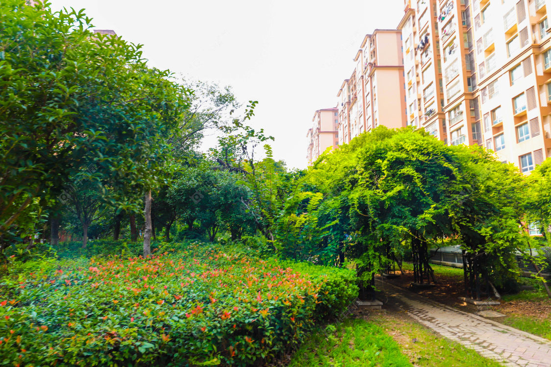 苏州丽新花苑小区_丽新花苑小区实景图