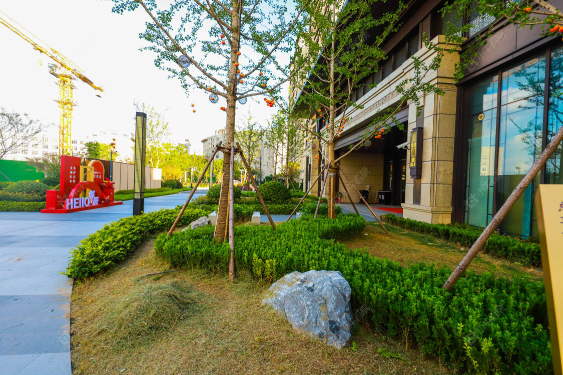 苏州文璟苑小区_文璟苑小区实景图