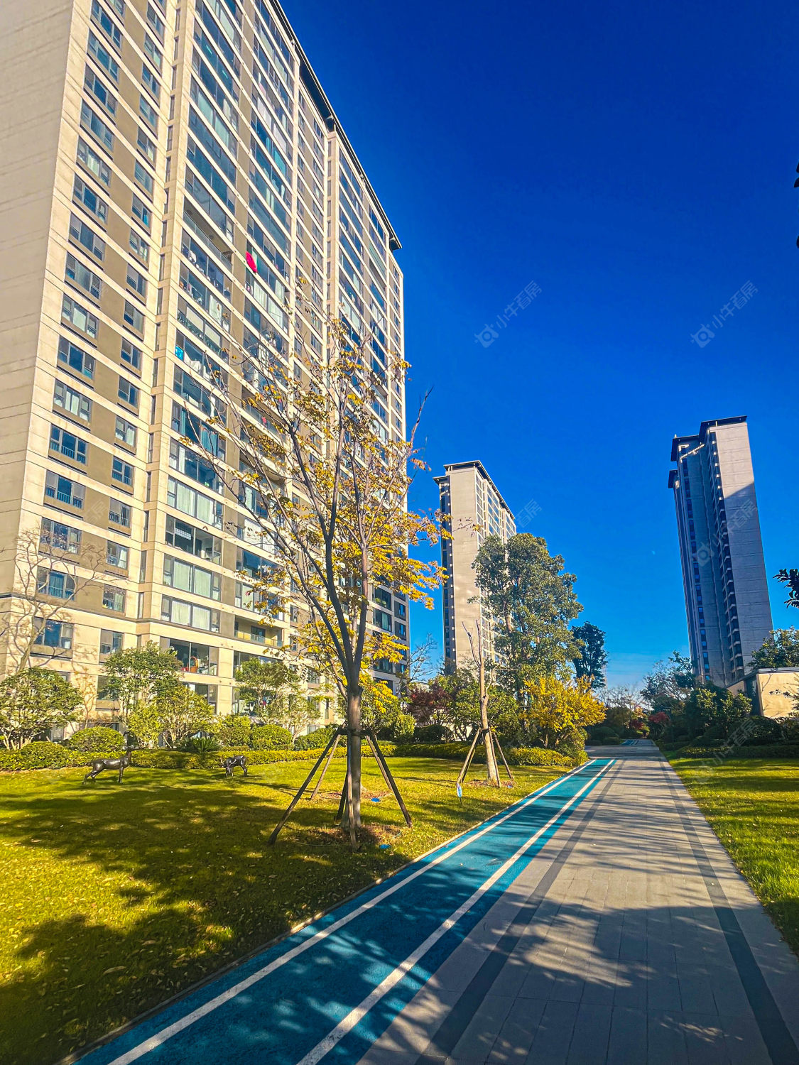 苏州金茂悦湖雅居小区_金茂悦湖雅居小区实景图