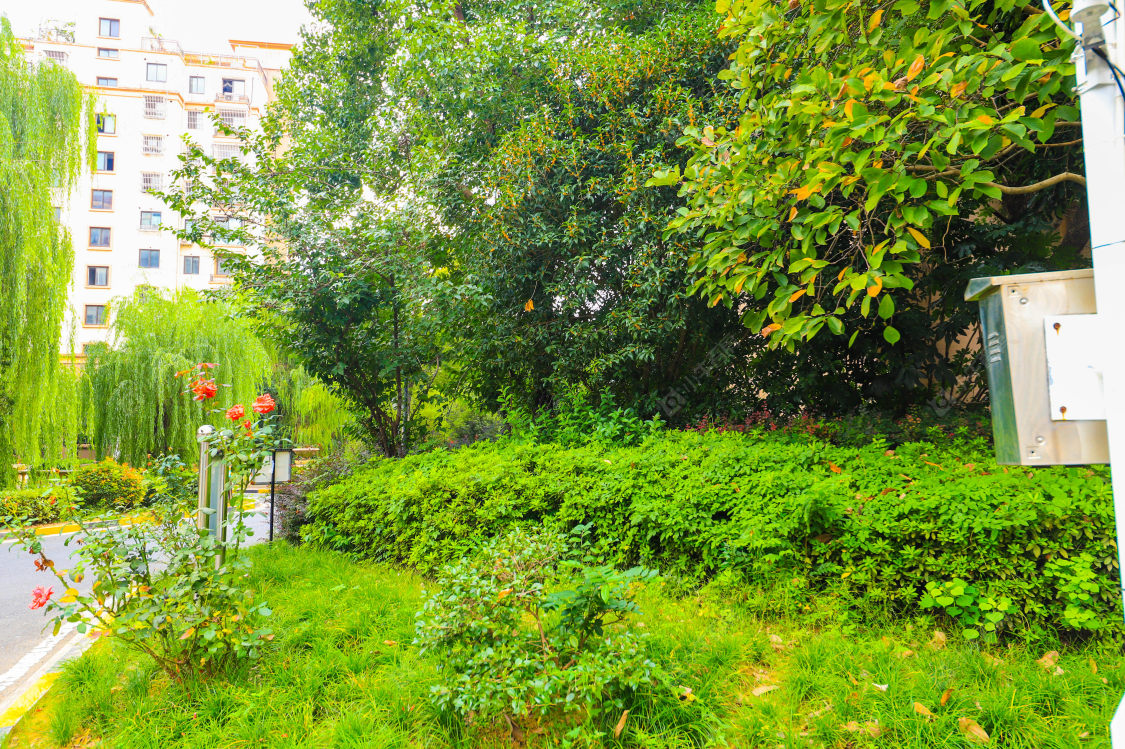 苏州旺西花苑小区_旺西花苑小区实景图