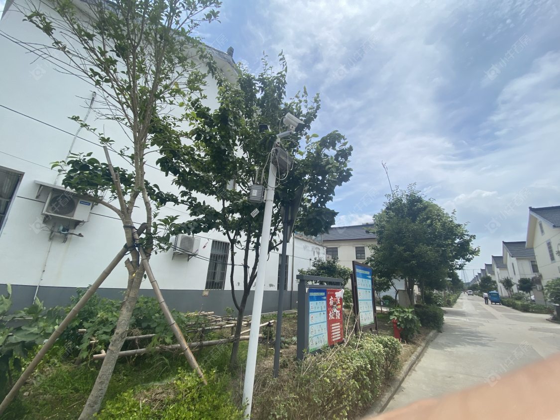 苏州阳澄新村九区小区_阳澄新村九区小区null