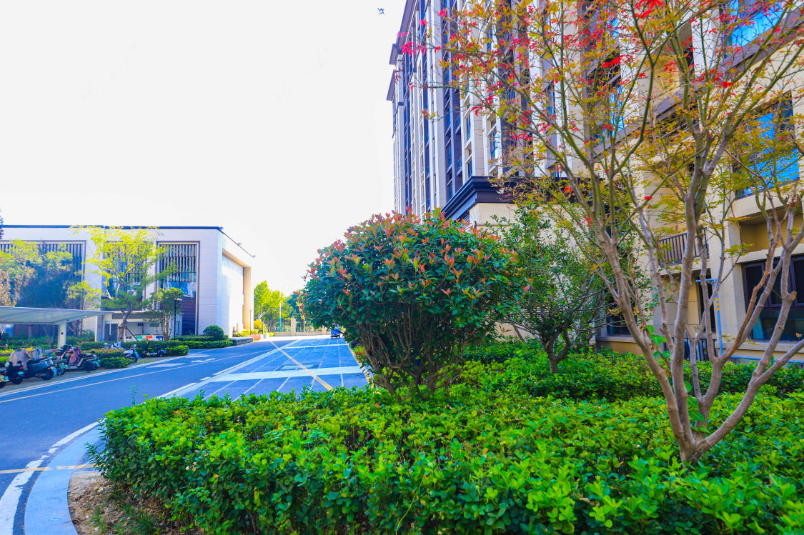 苏州锦鲤花园小区_锦鲤花园小区实景图