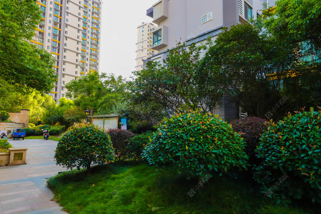 苏州望江水岸小区_望江水岸小区实景图