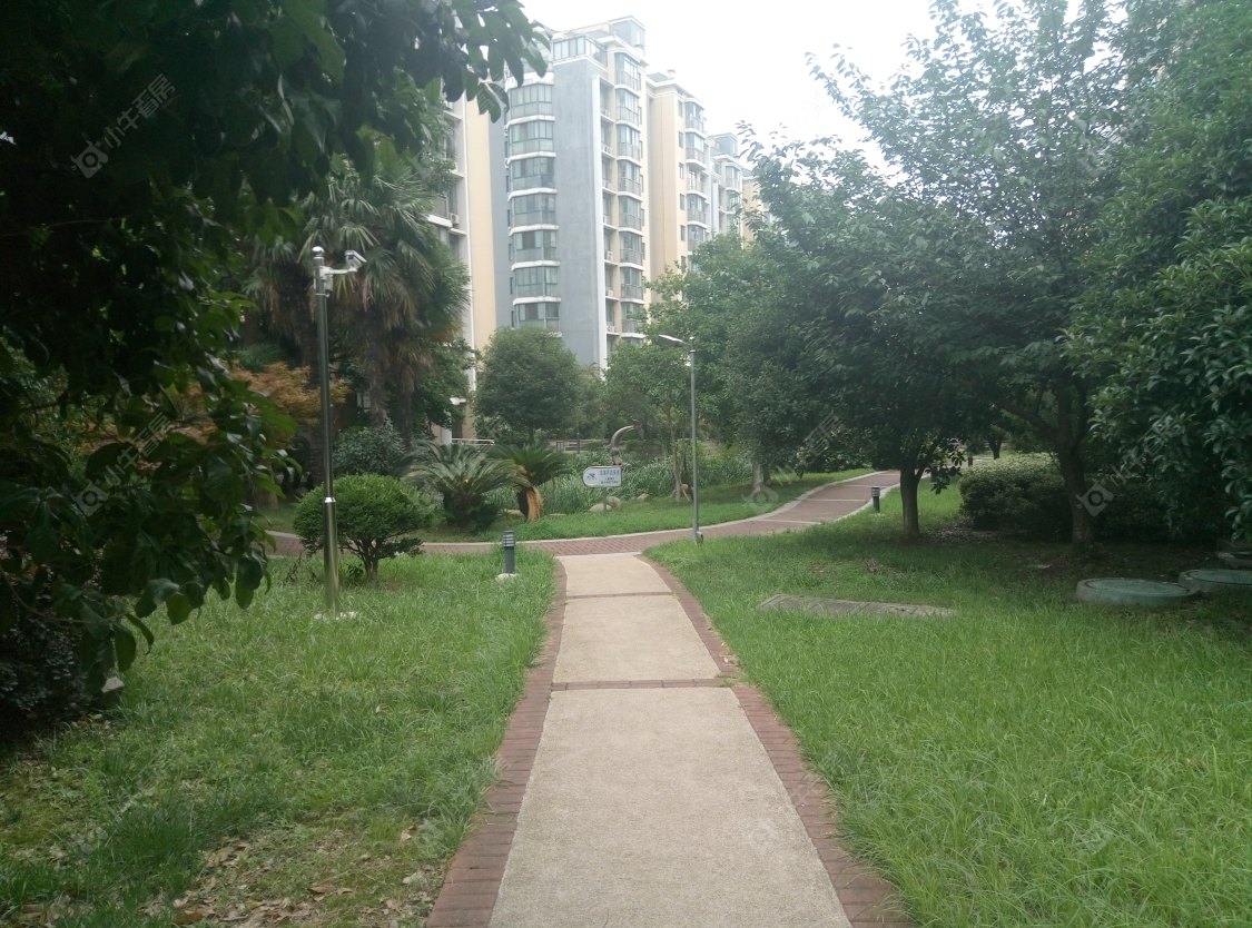 苏州明日枫林小区_明日枫林小区null