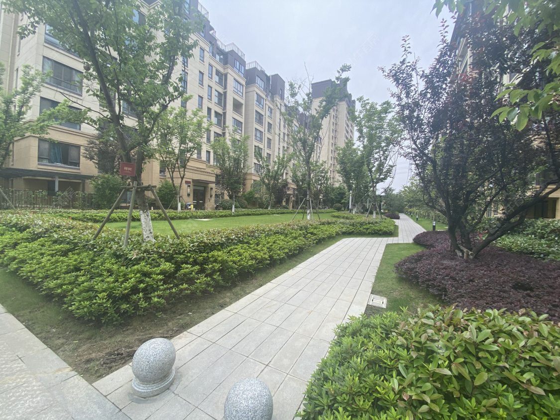 苏州金科集美院小区_金科集美院小区null