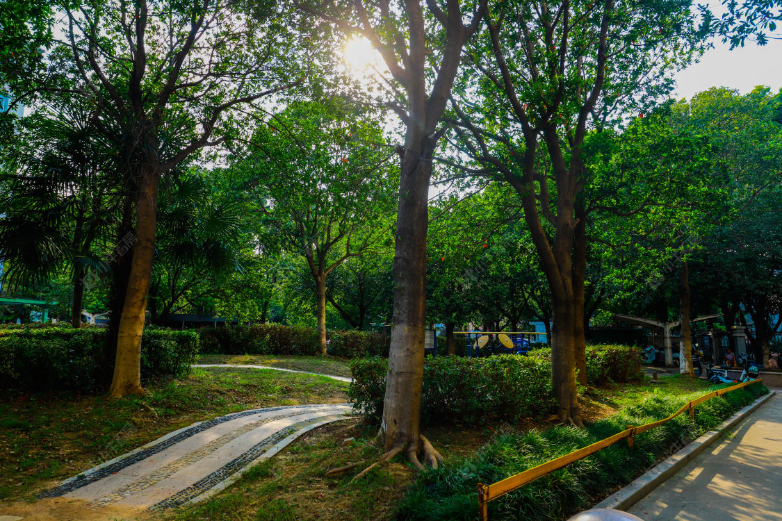 苏州南城花园小区_南城花园小区null