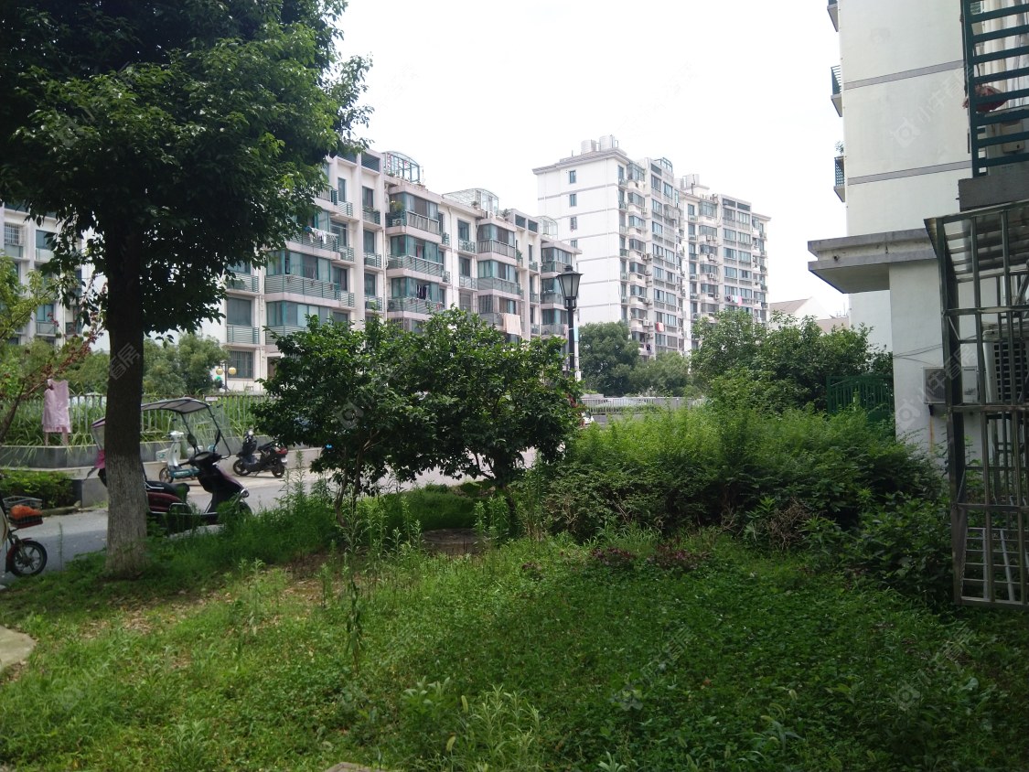苏州莲花新村小区_莲花新村小区null