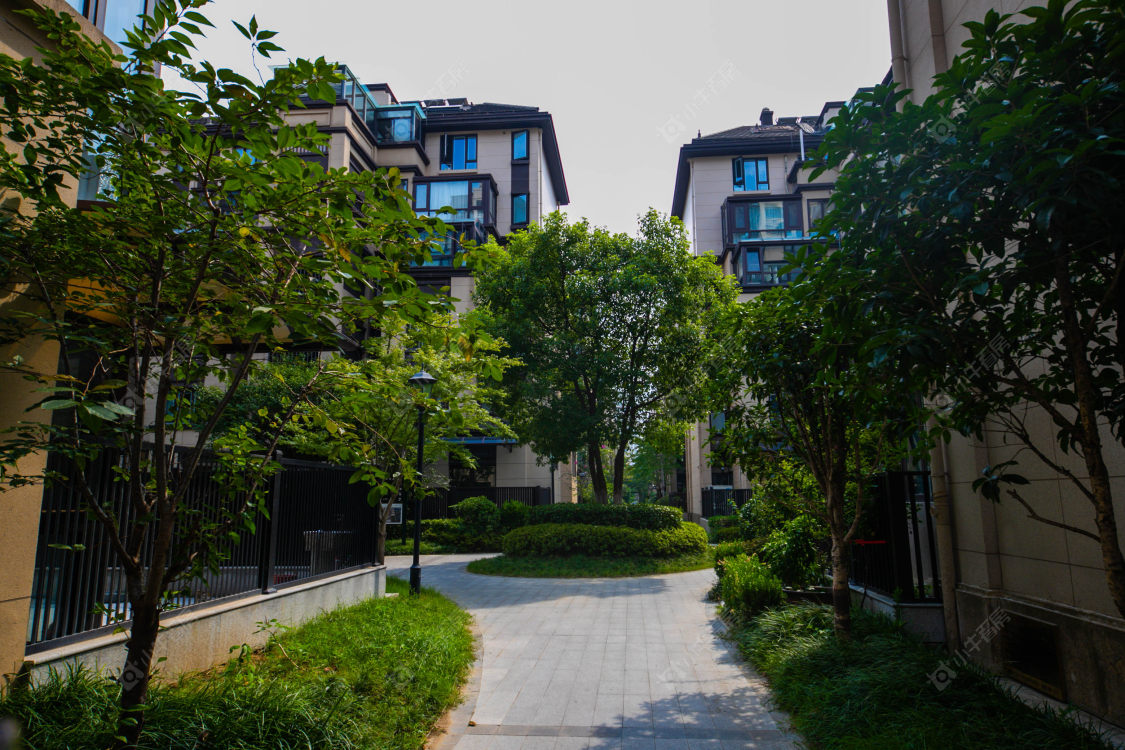 苏州保利熙悦小区_保利熙悦小区null