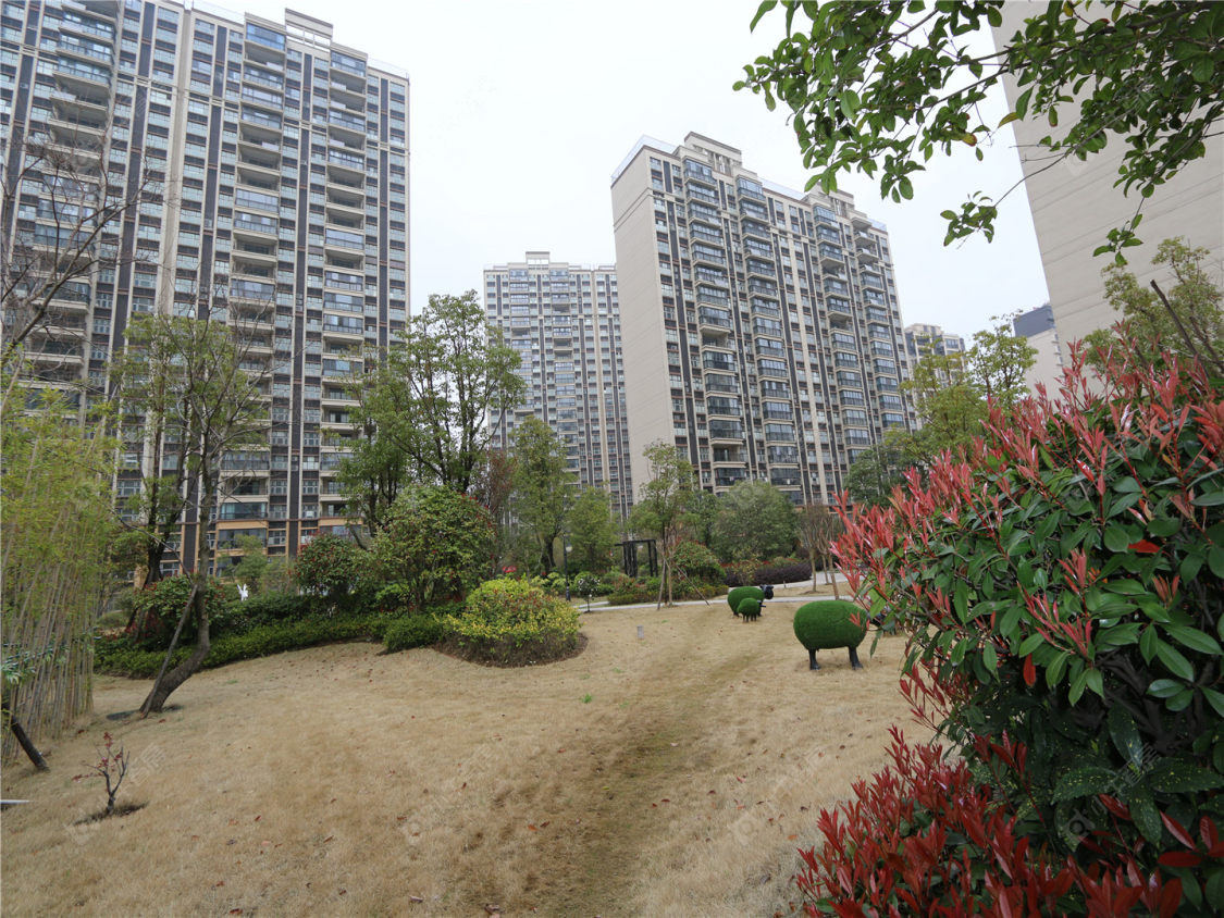 苏州翡翠湾小区_翡翠湾小区null