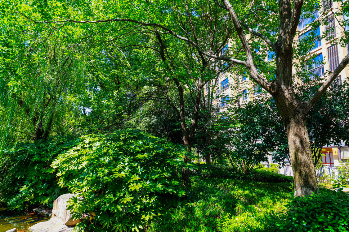 苏州阳光里程小区_阳光里程小区null