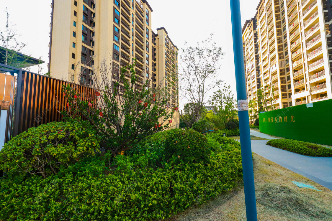 苏州文璟苑小区_文璟苑小区实景图