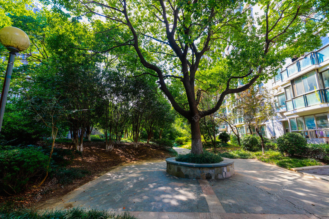 苏州清水湾(张家港)小区_清水湾(张家港)小区实景图