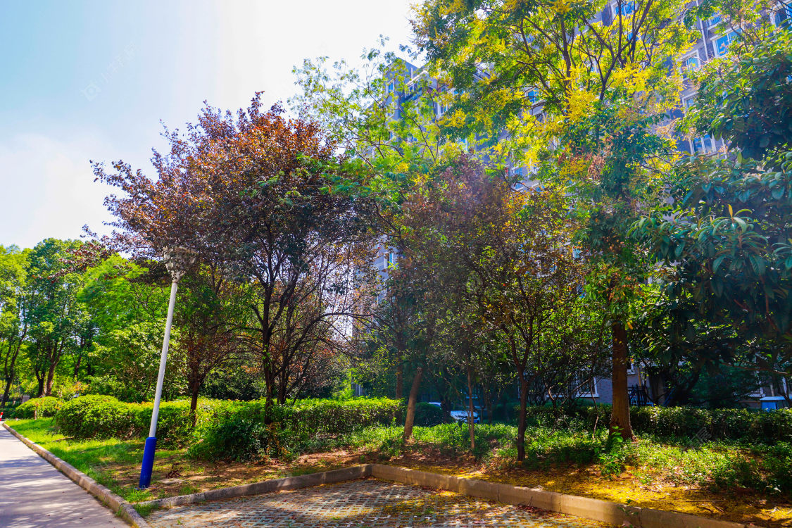 苏州百桥花园小区_百桥花园小区实景图