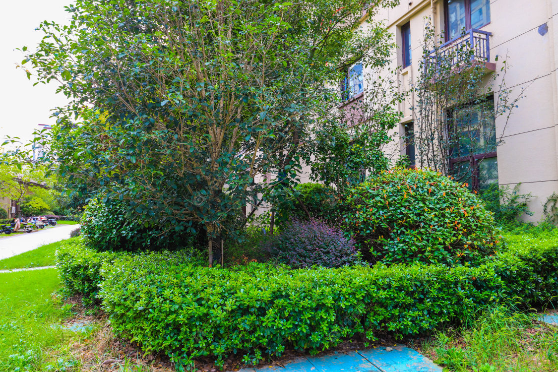 苏州天润悦府小区_天润悦府小区实景图