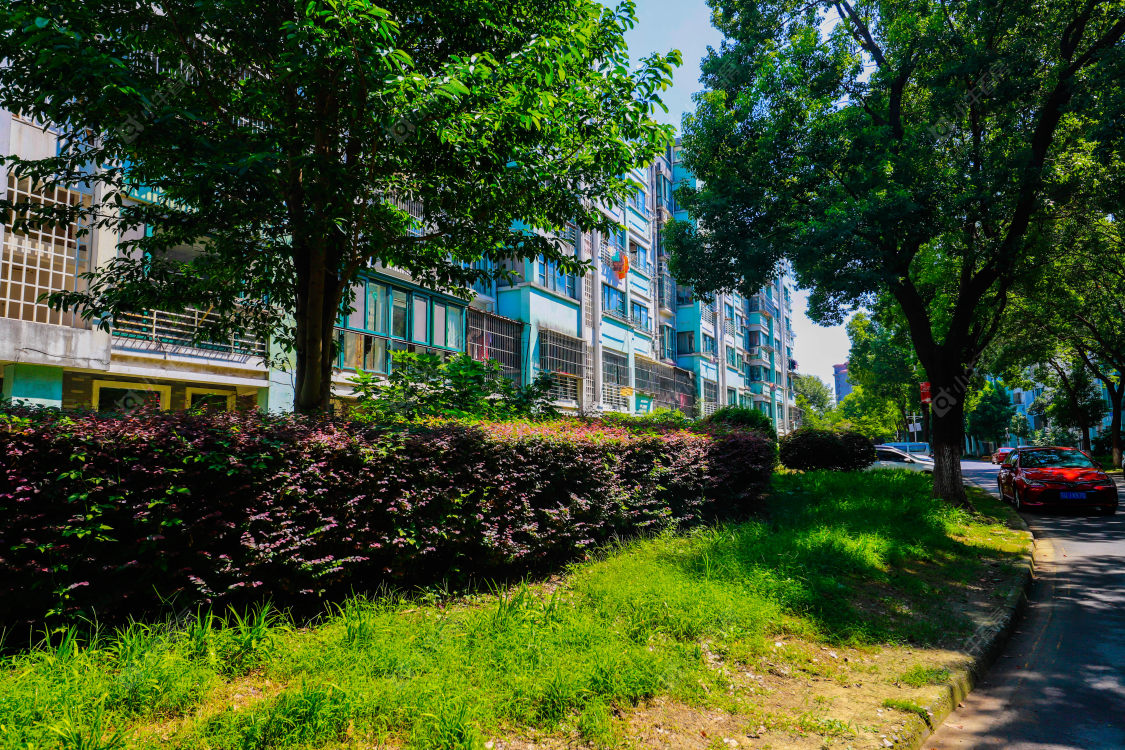 苏州白鹿花苑小区_白鹿花苑小区null