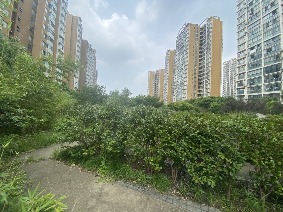 苏州明日星洲小区_明日星洲小区null