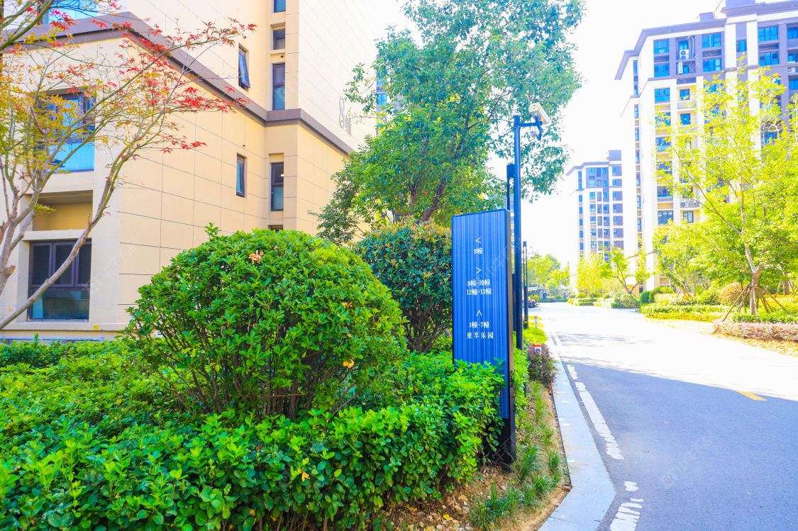 苏州锦鲤花园小区_锦鲤花园小区实景图