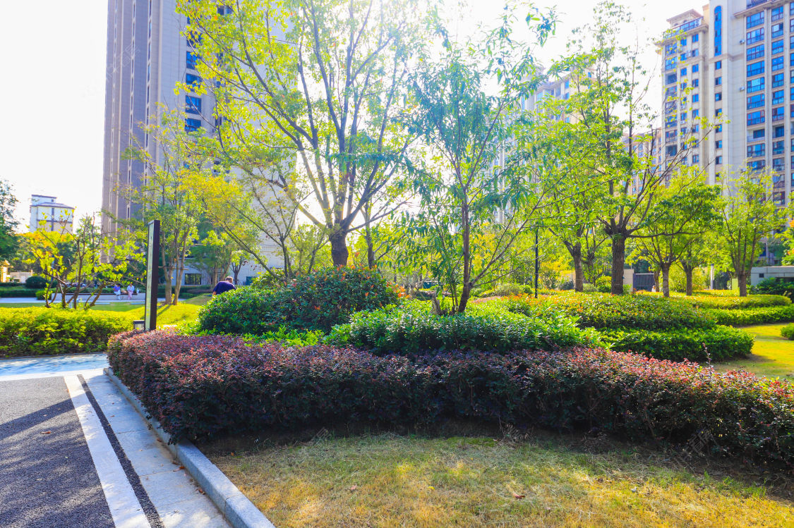 苏州新城和樾小区_新城和樾小区实景图