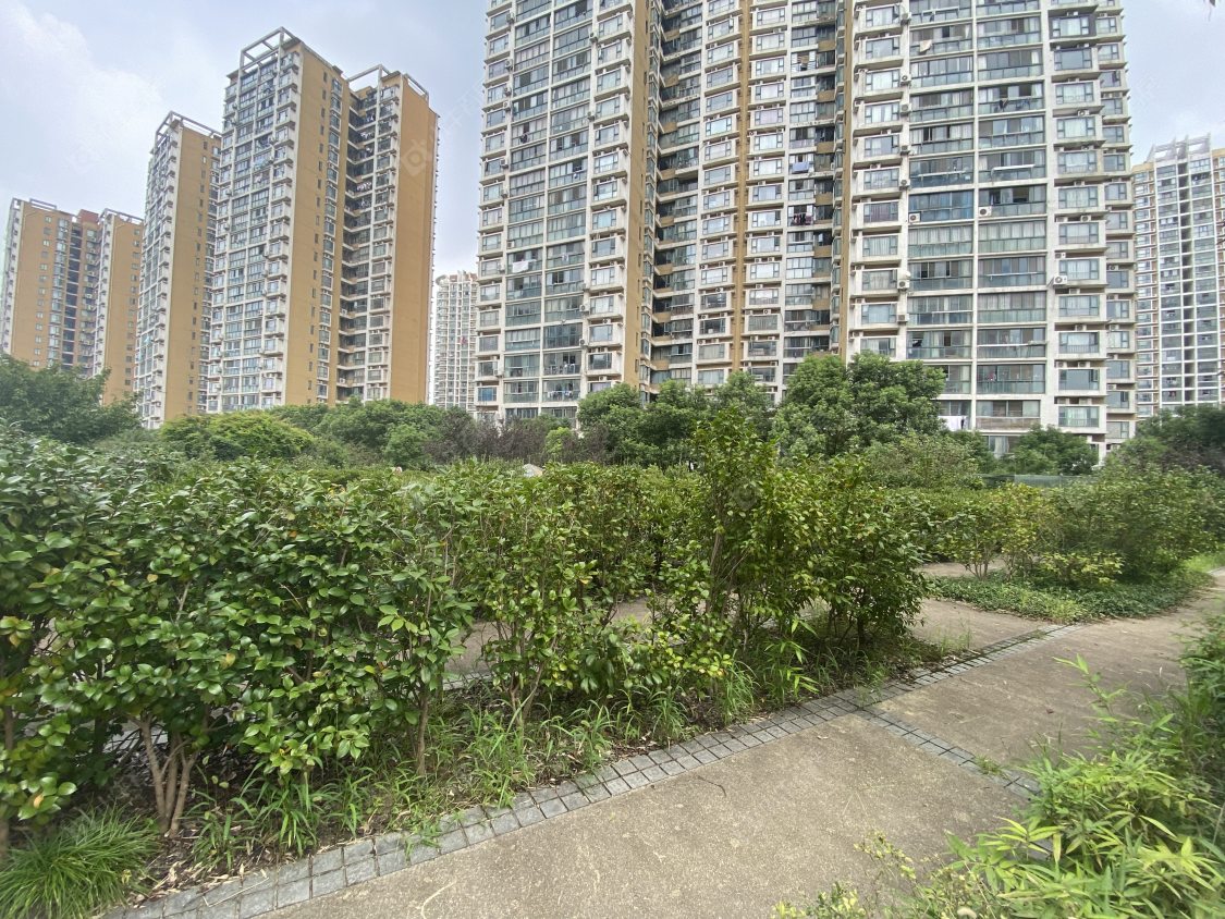 苏州明日星洲小区_明日星洲小区null