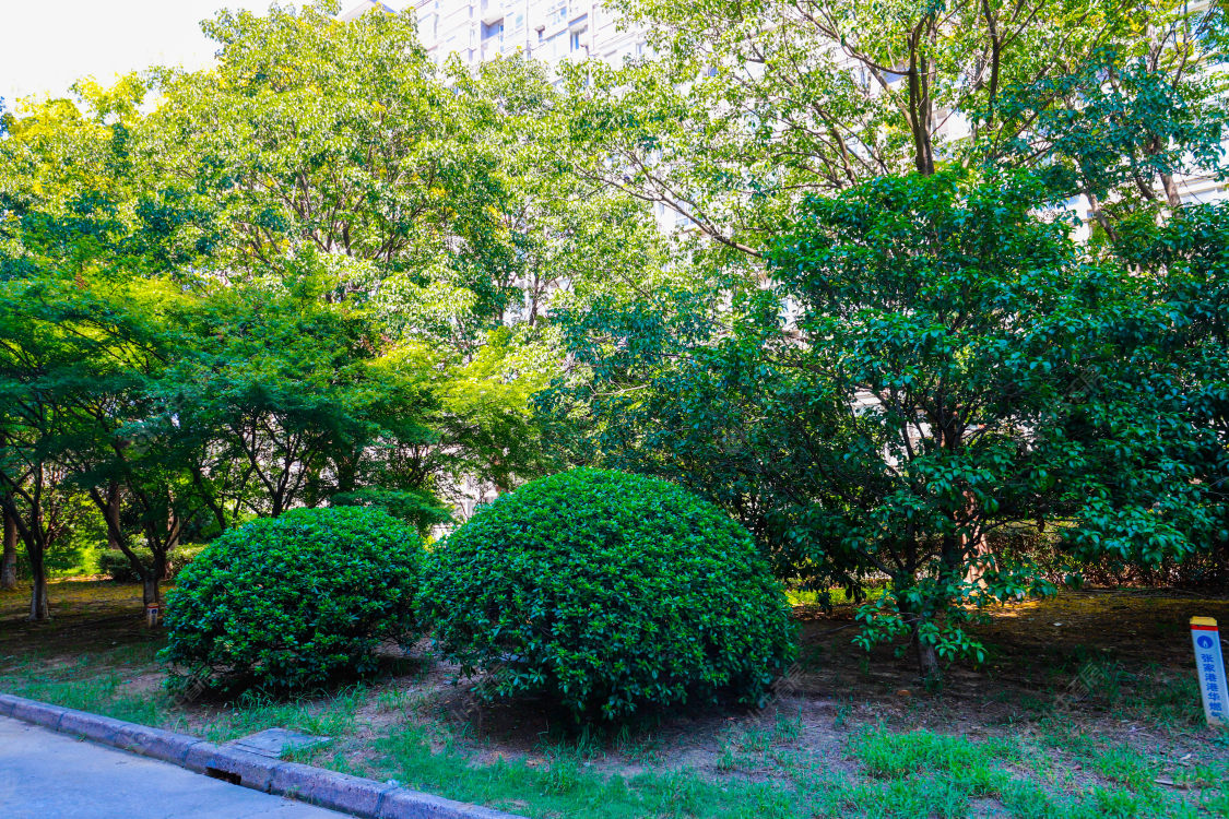 苏州百桥花园小区_百桥花园小区实景图