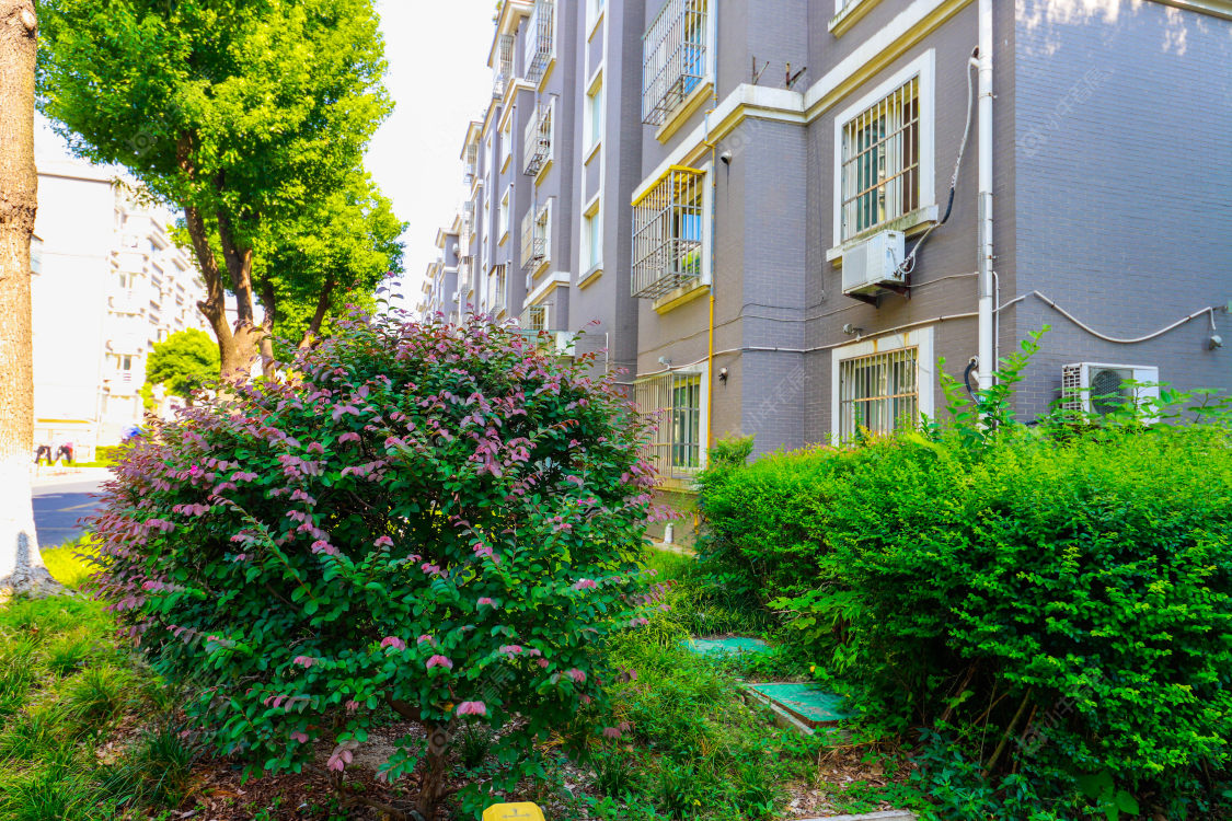 苏州小城市新村小区_小城市新村小区实景图