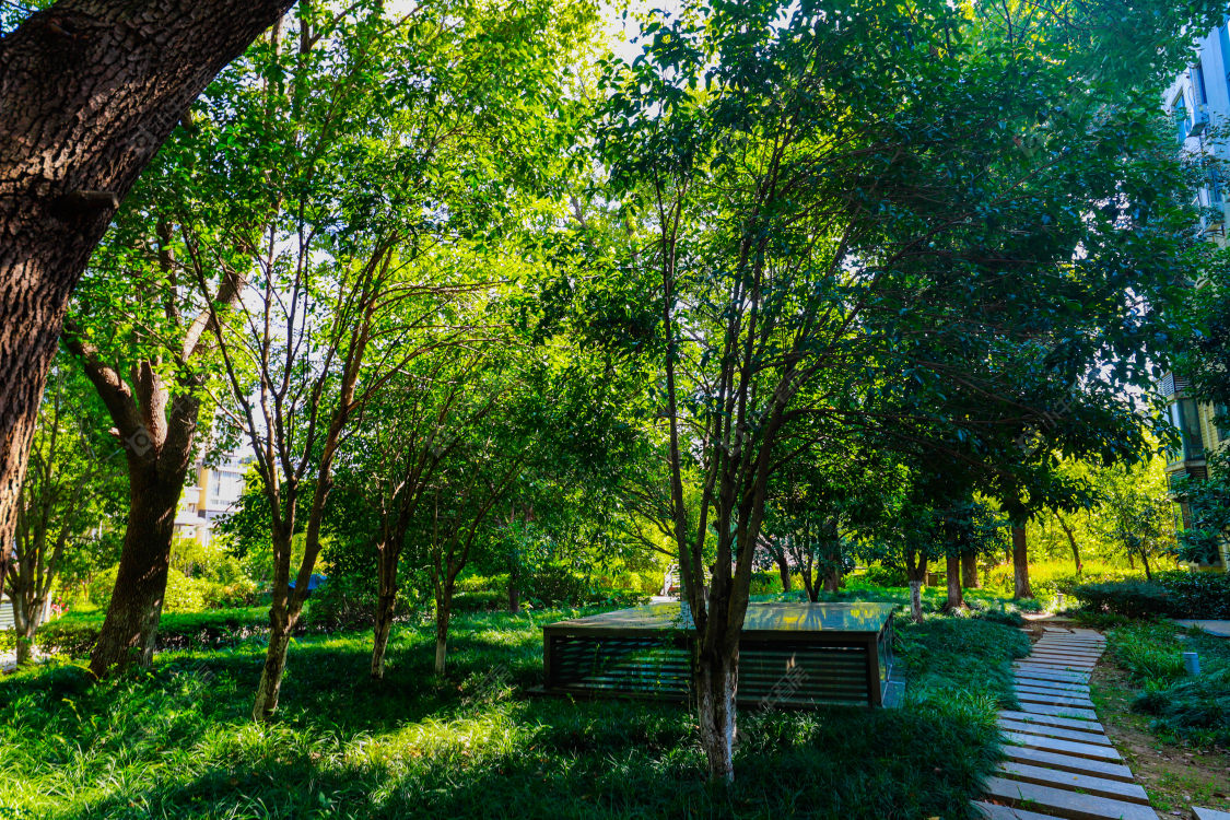 苏州城市风景小区_城市风景小区null