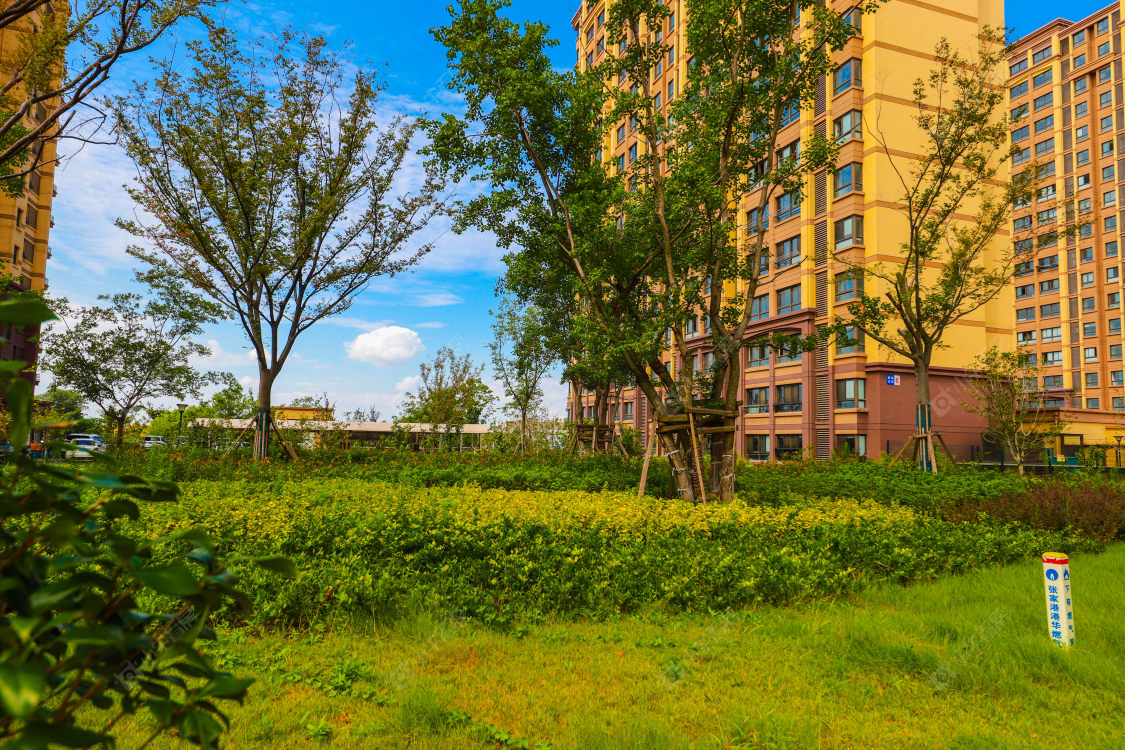 苏州新悦花苑小区_新悦花苑小区实景图