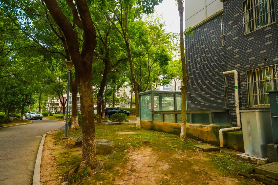 苏州新南社区(一期)小区_新南社区(一期)小区实景图