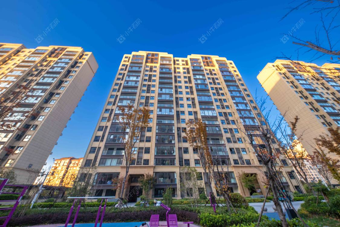 苏州金厦阳光经典花园小区_金厦阳光经典花园小区实景图