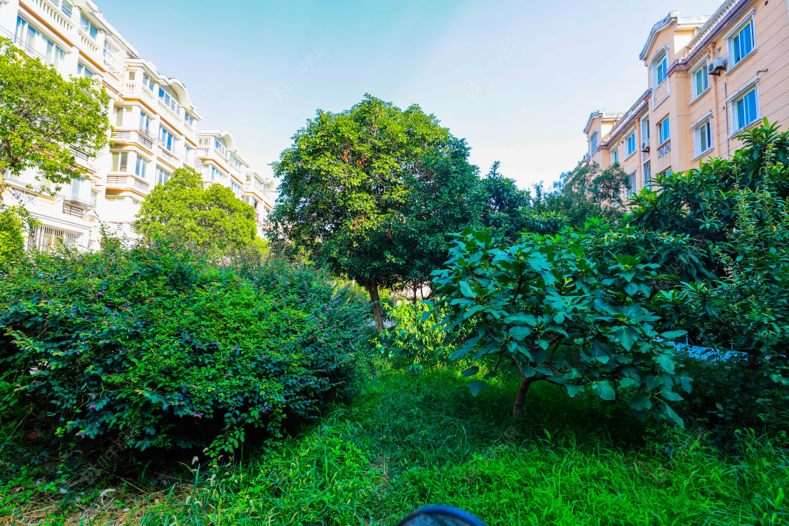 苏州南苑新村(西区)小区_南苑新村(西区)小区null