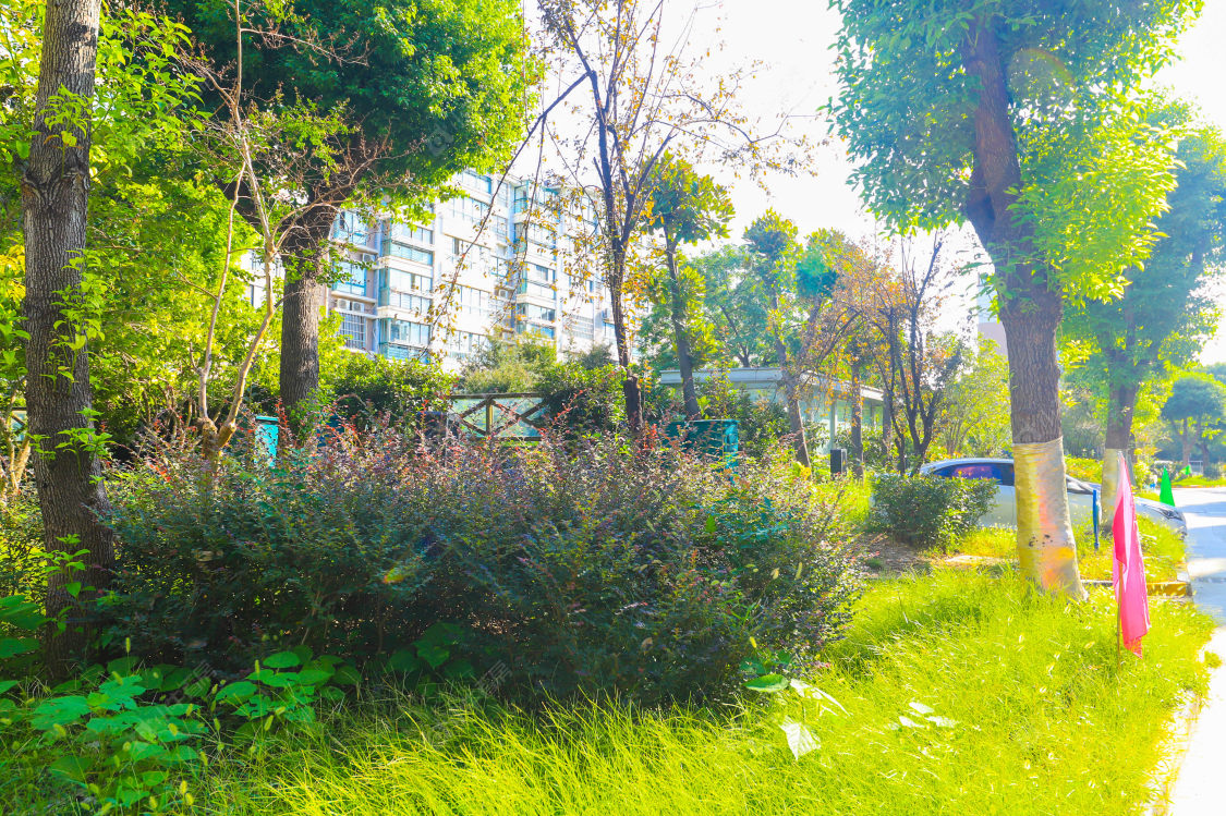 苏州万红五村小区_万红五村小区实景图