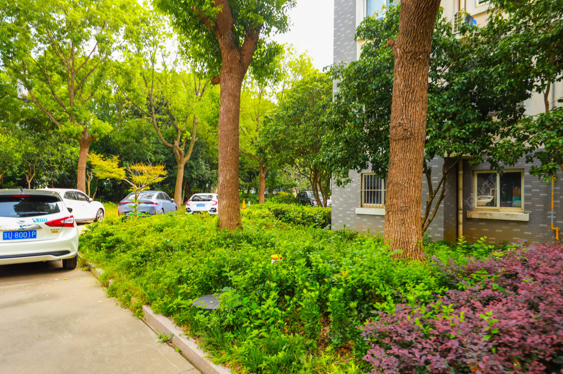 苏州东方明珠茗苑小区_东方明珠茗苑小区实景图