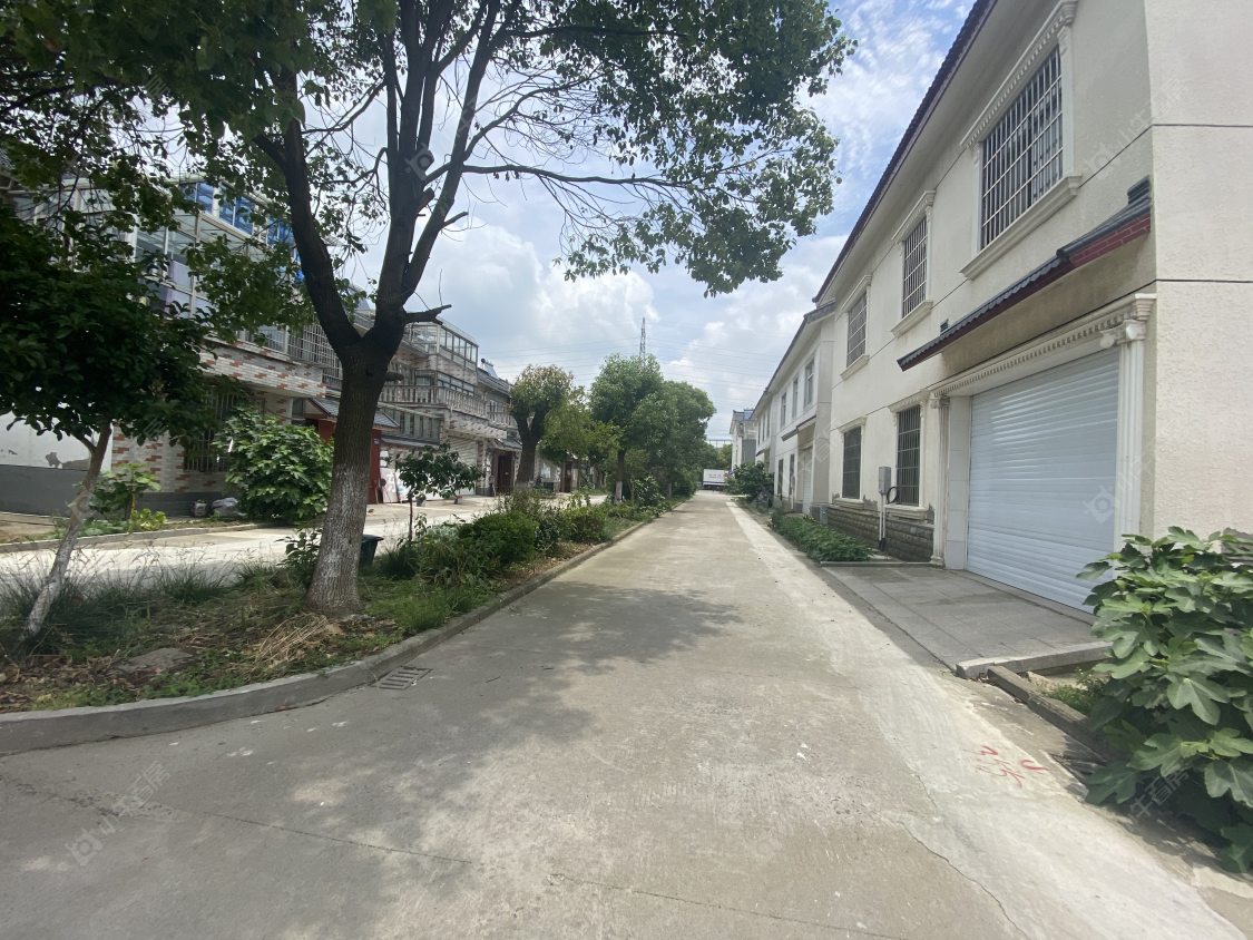 苏州阳澄新村九区小区_阳澄新村九区小区null