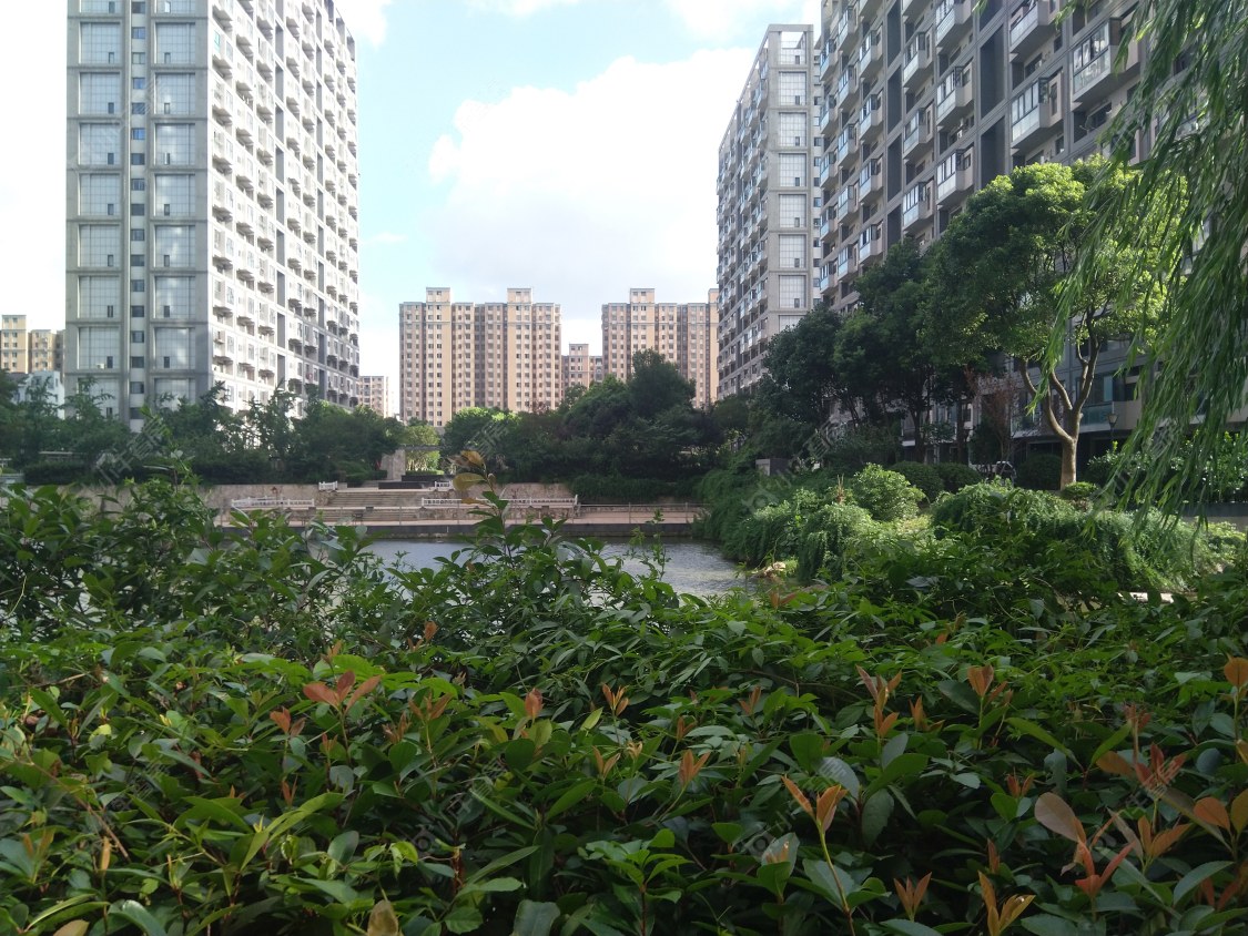 苏州派公馆小区_派公馆小区null