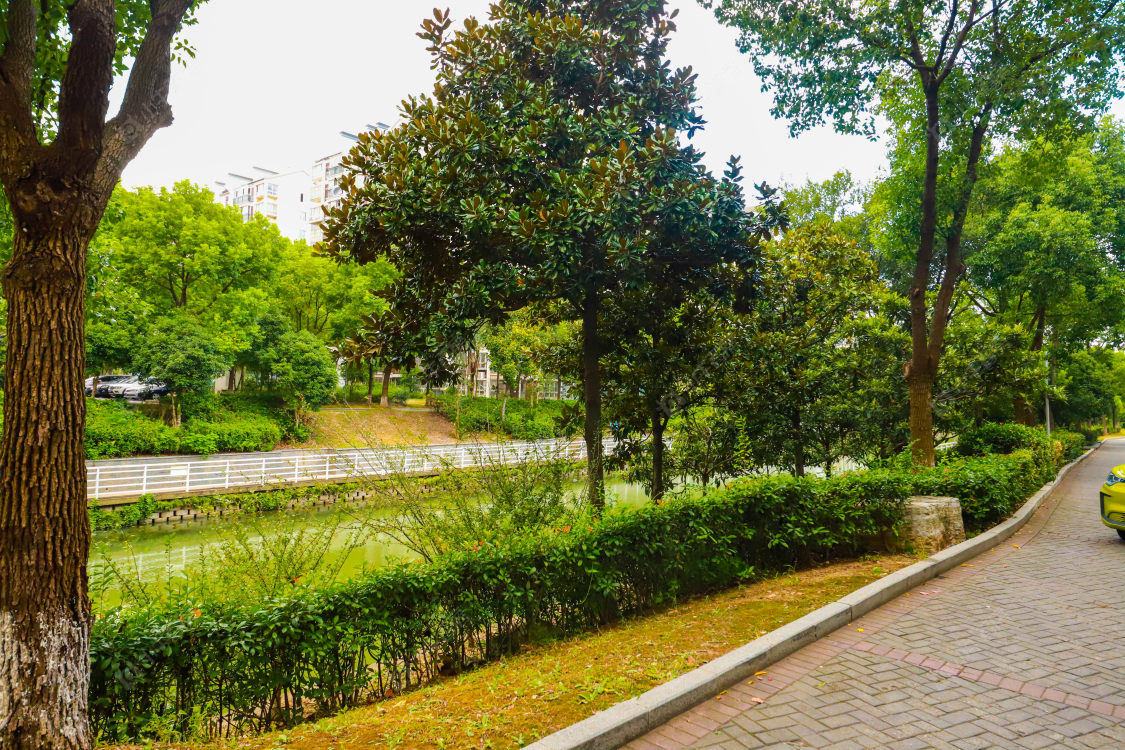 苏州新南社区(一期)小区_新南社区(一期)小区实景图