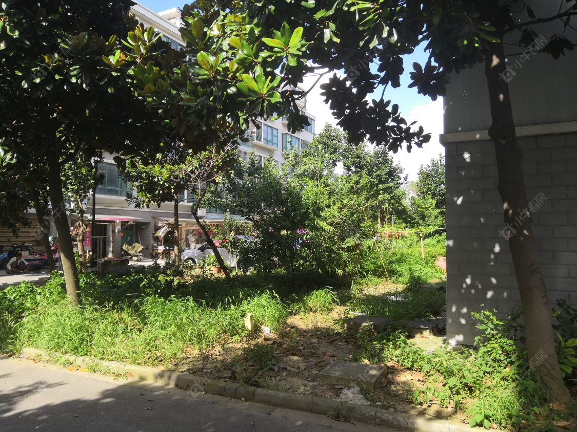 苏州金山苑三区东区小区_金山苑三区东区小区null