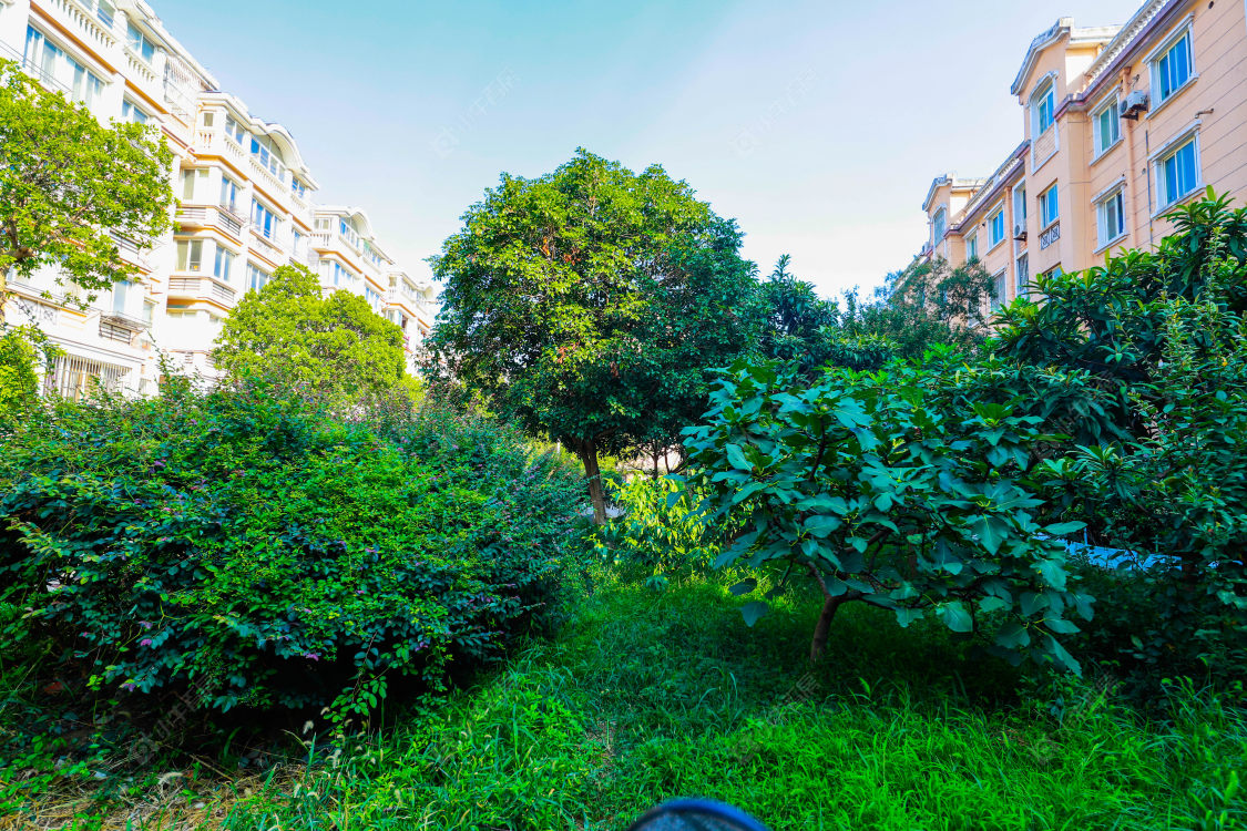 苏州南苑新村(东区)小区_南苑新村(东区)小区实景图